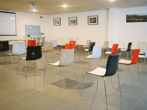 Conference Room Conference Room